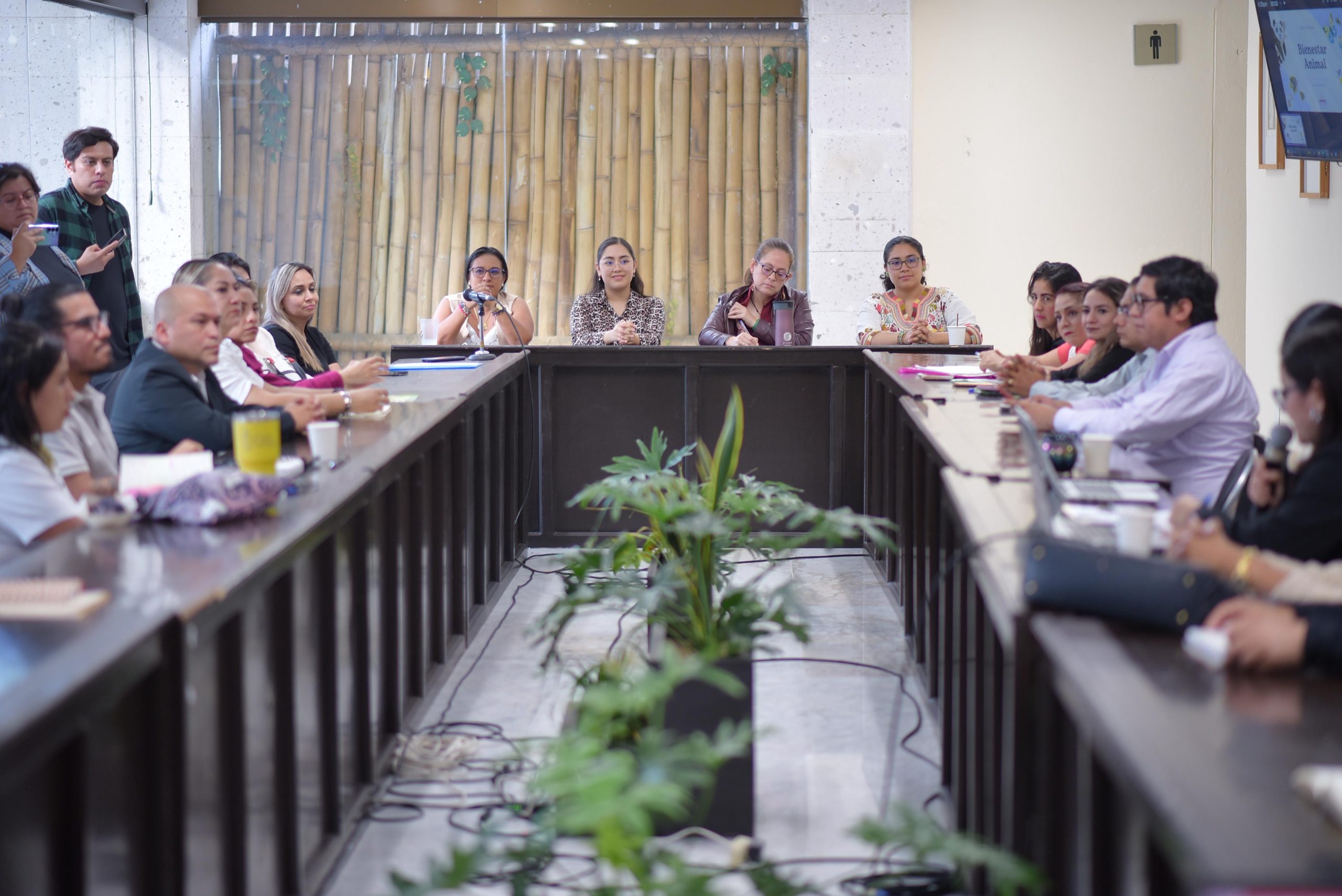 LEGISLADORAS CONVOCAN A MESA DE TRABAJO EN MATERIA DE BIENESTAR ANIMAL