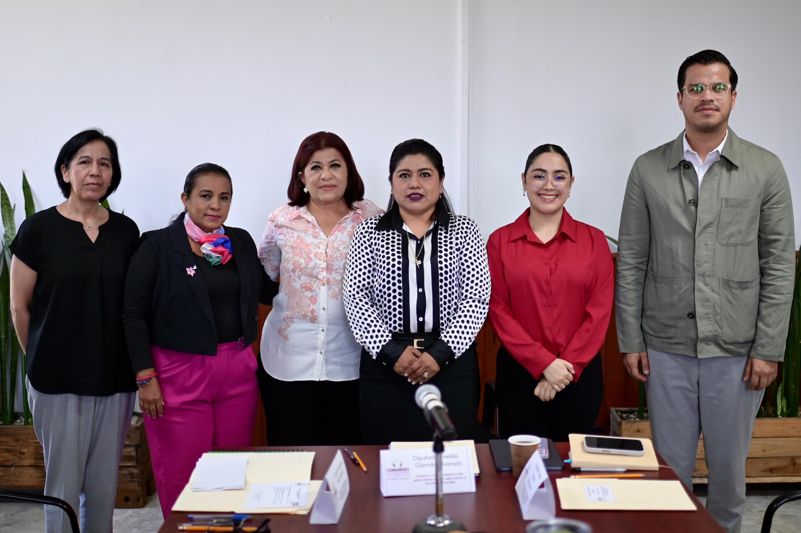 Se reúne Comisión de Medio Ambiente con autoridades de Sedema y PMA