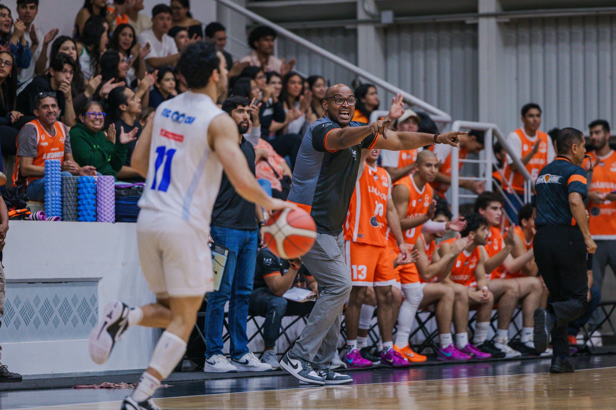 Leones con paso perfecto en la ABE