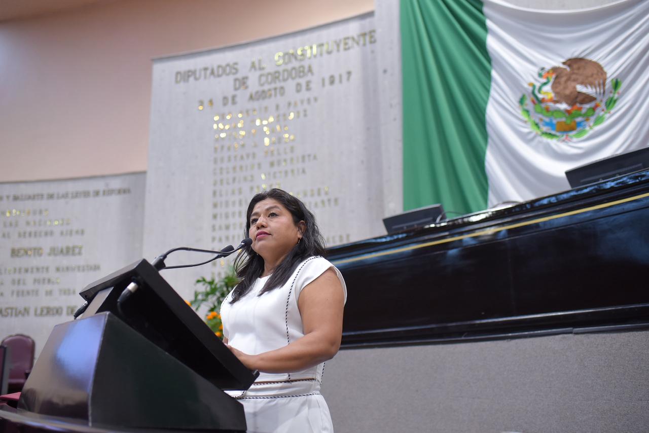 Ante desastres naturales, unidad, empatía y cooperación, llama diputada