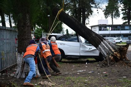Por Frente Frío, activa Ayuntamiento Sistema Municipal de Protección Civil