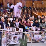 Congreso eleva a rango constitucional la protección a los animales