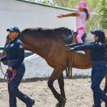 Equinoterapia de SSP, motor que impulsa y cambia la vida de niñas, niños y jóvenes con discapacidad