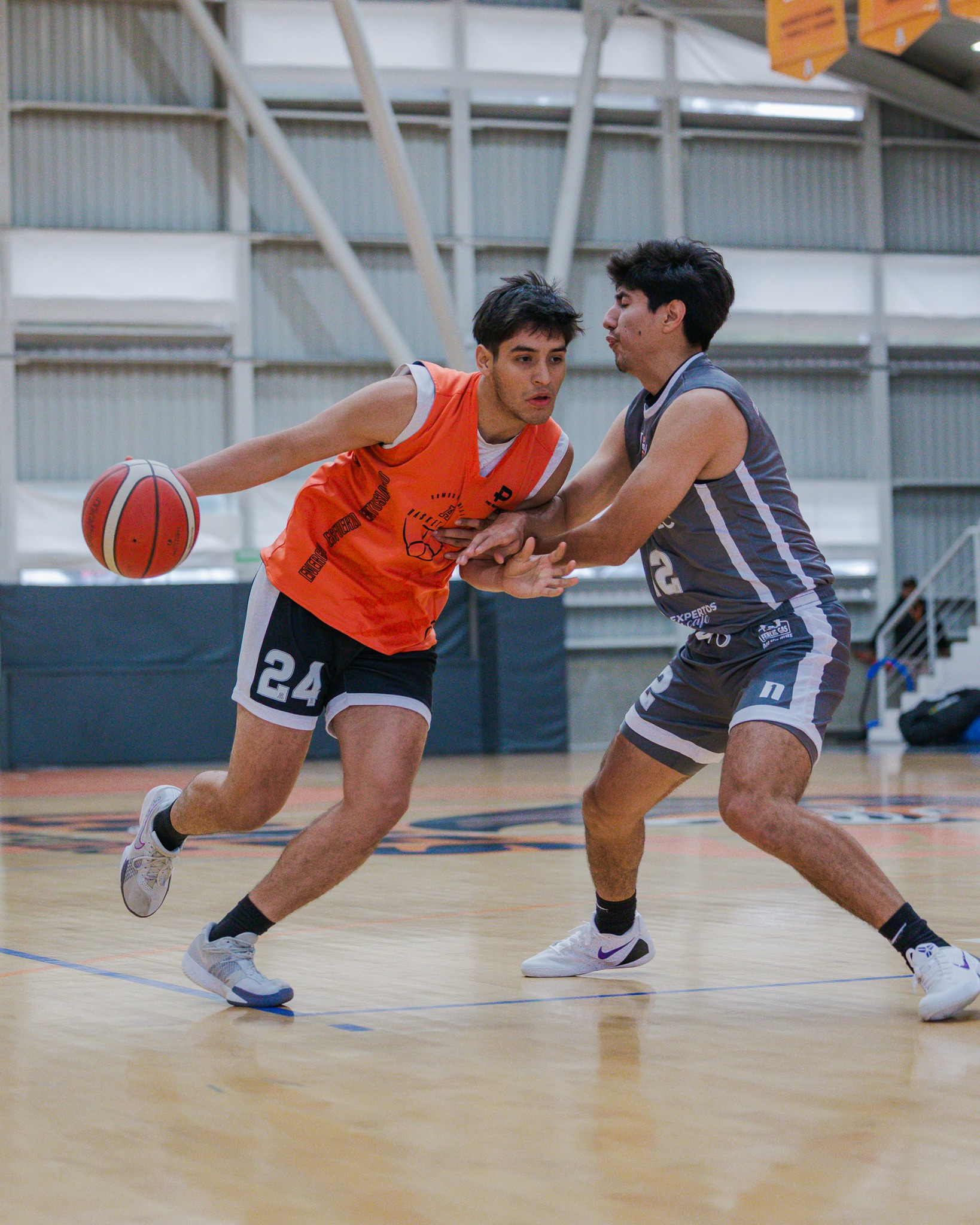 Leones regresan a la Conferencia Nacional de Voleibol en Conadeip