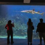Por Carnaval, tendrá Aquarium horario especial del 14 al 17 de febrero