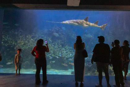 Por Carnaval, tendrá Aquarium horario especial del 14 al 17 de febrero