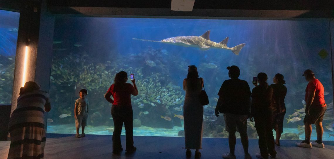 Por Carnaval, tendrá Aquarium horario especial del 14 al 17 de febrero
