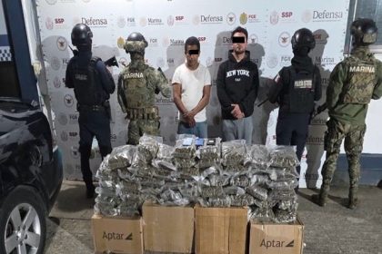 Decomisa SSP más de 28 kilos de presunta marihuana y 147 dosis de diversos estupefacientes durante el fin de semana