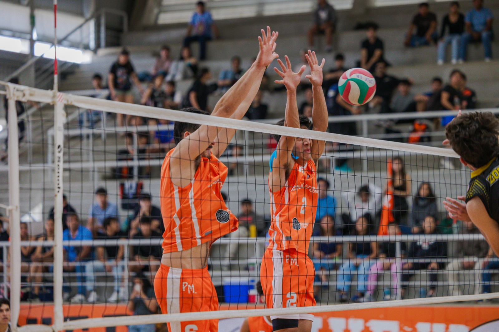 Leones en busca del título en la Conferencia Nacional de Voleibol