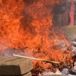 Encabeza Gobernadora destrucción de casi 800 kilos de drogas aseguradas en Veracruz