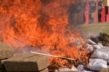 Encabeza Gobernadora destrucción de casi 800 kilos de drogas aseguradas en Veracruz