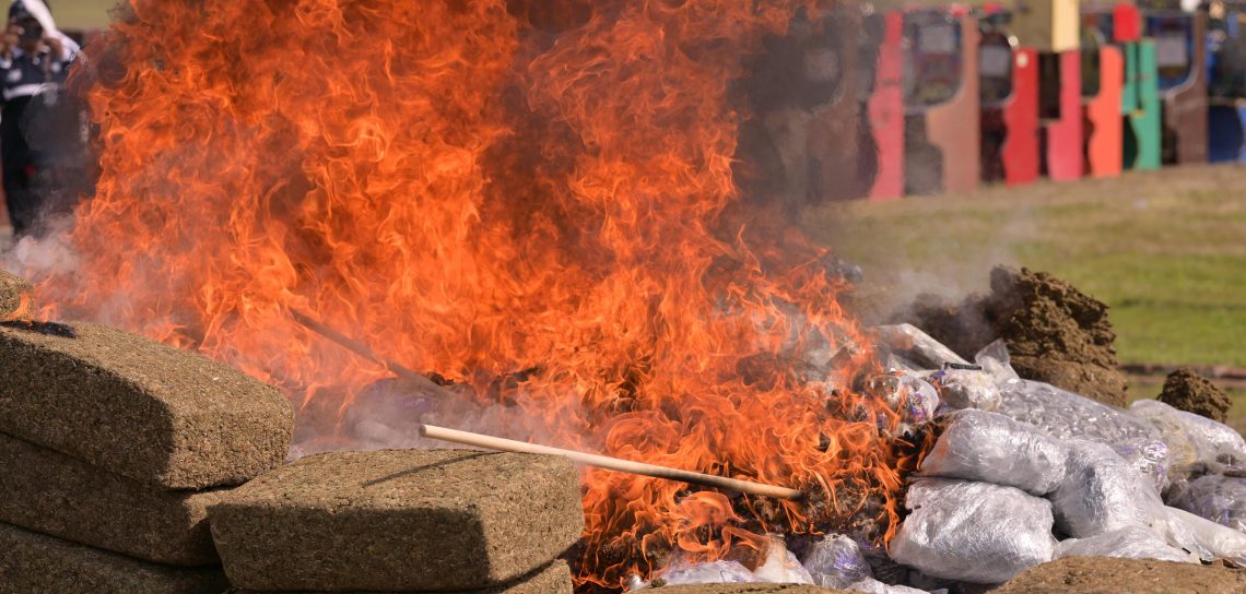 Encabeza Gobernadora destrucción de casi 800 kilos de drogas aseguradas en Veracruz