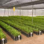 Los recursos públicos deben regresar al campo y a sus productores: Rocío Nahle