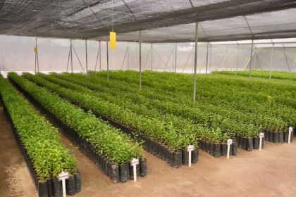Los recursos públicos deben regresar al campo y a sus productores: Rocío Nahle