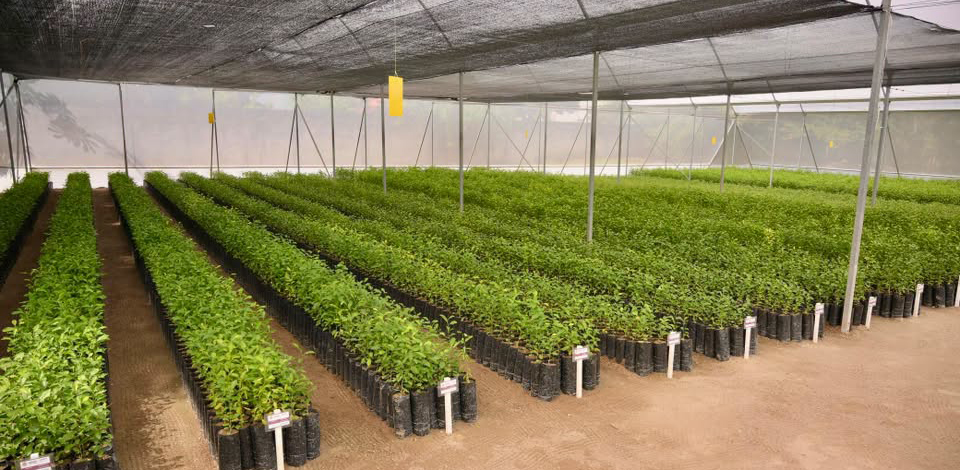 Los recursos públicos deben regresar al campo y a sus productores: Rocío Nahle