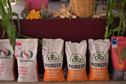 Ampliará Veracruz respaldo presupuestal a productores del campo en 2027: Rocío Nahle