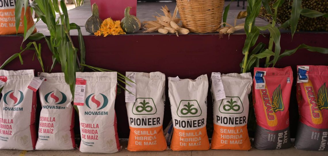 Ampliará Veracruz respaldo presupuestal a productores del campo en 2027: Rocío Nahle