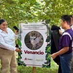 ¡Bienvenido, Venancio! El Parque Ecológico Jaguaroundi recibe a su primer venado cola blanca adulto