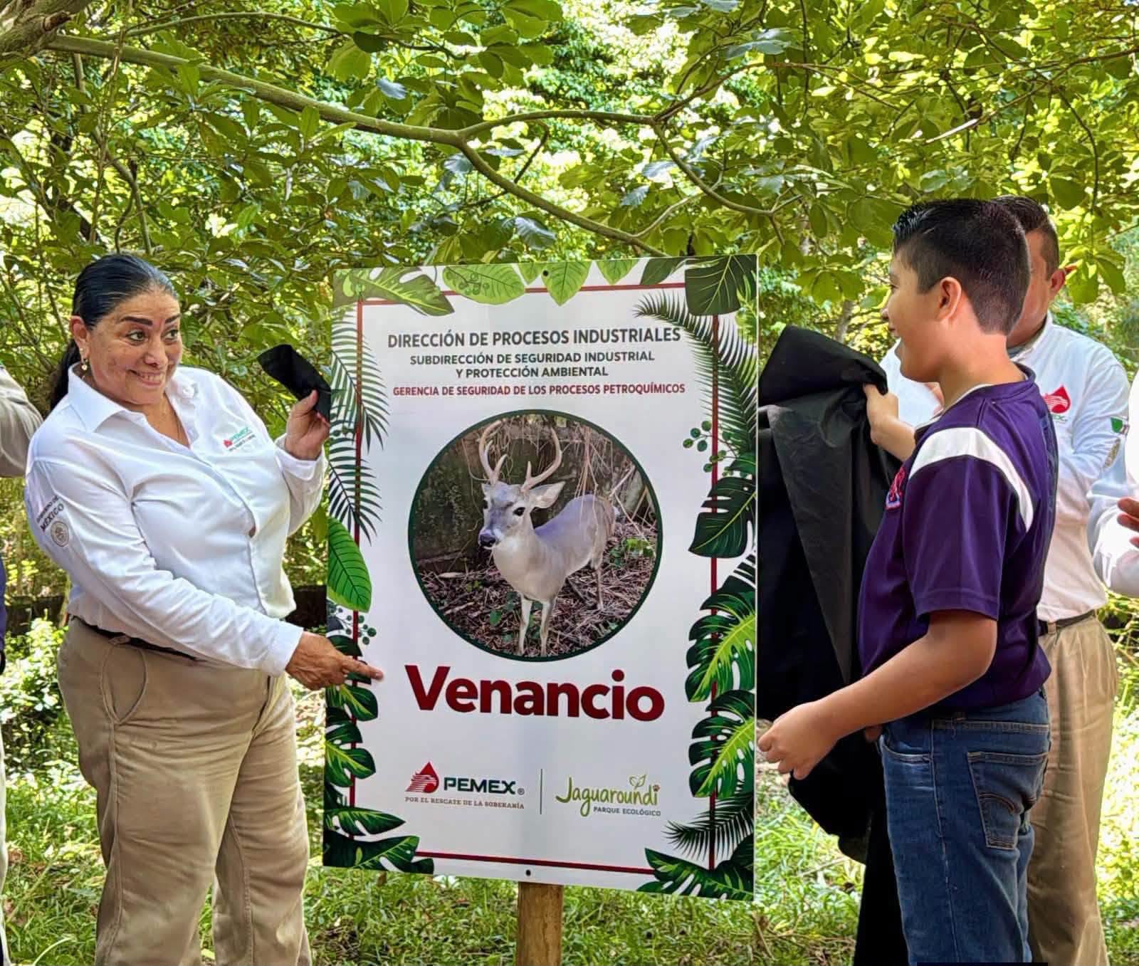 ¡Bienvenido, Venancio! El Parque Ecológico Jaguaroundi recibe a su primer venado cola blanca adulto